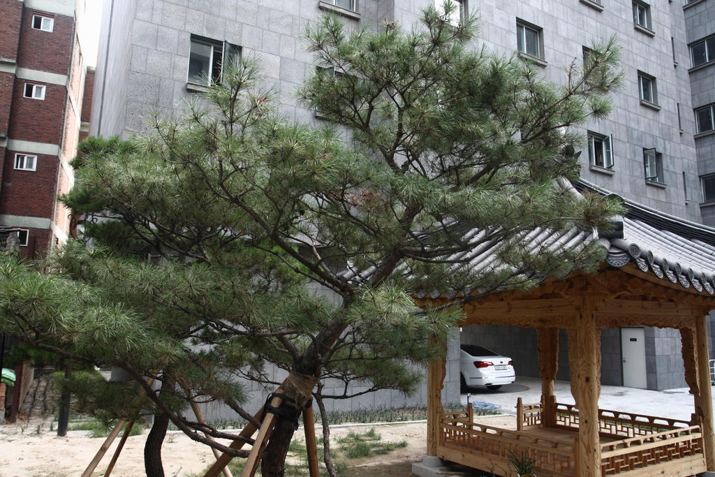 Fortune Hostel Jongno Сеул Экстерьер фото